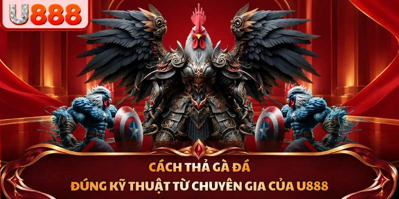 cách thả gà đá