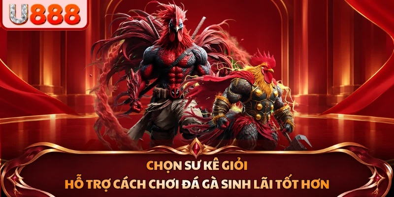 Chọn sư kê giỏi hỗ trợ cách chơi đá gà sinh lãi tốt hơn